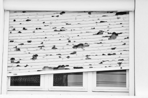 Hail damage insurance tips Hail damage insurance tips